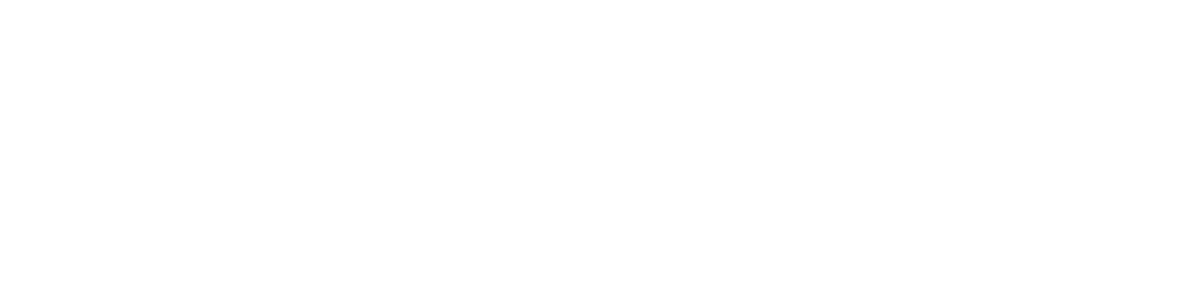Eagle Eye E-commerce